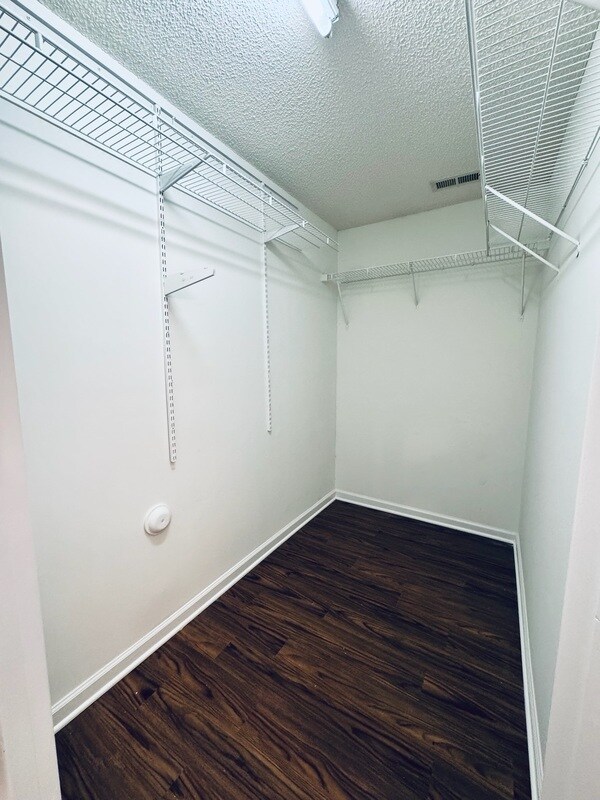 Building Photo - 1225 Bacardi Ct