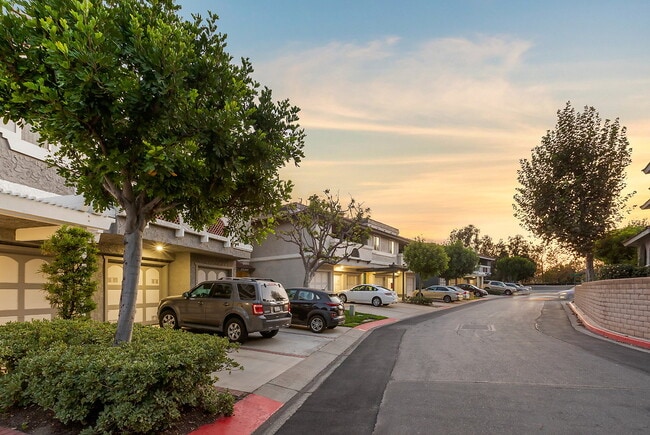 Building Photo - Trabuco Villas