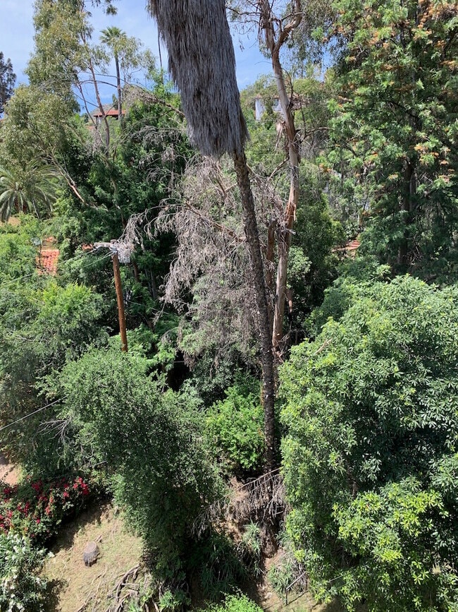 Building Photo - 702 Cavanagh Rd