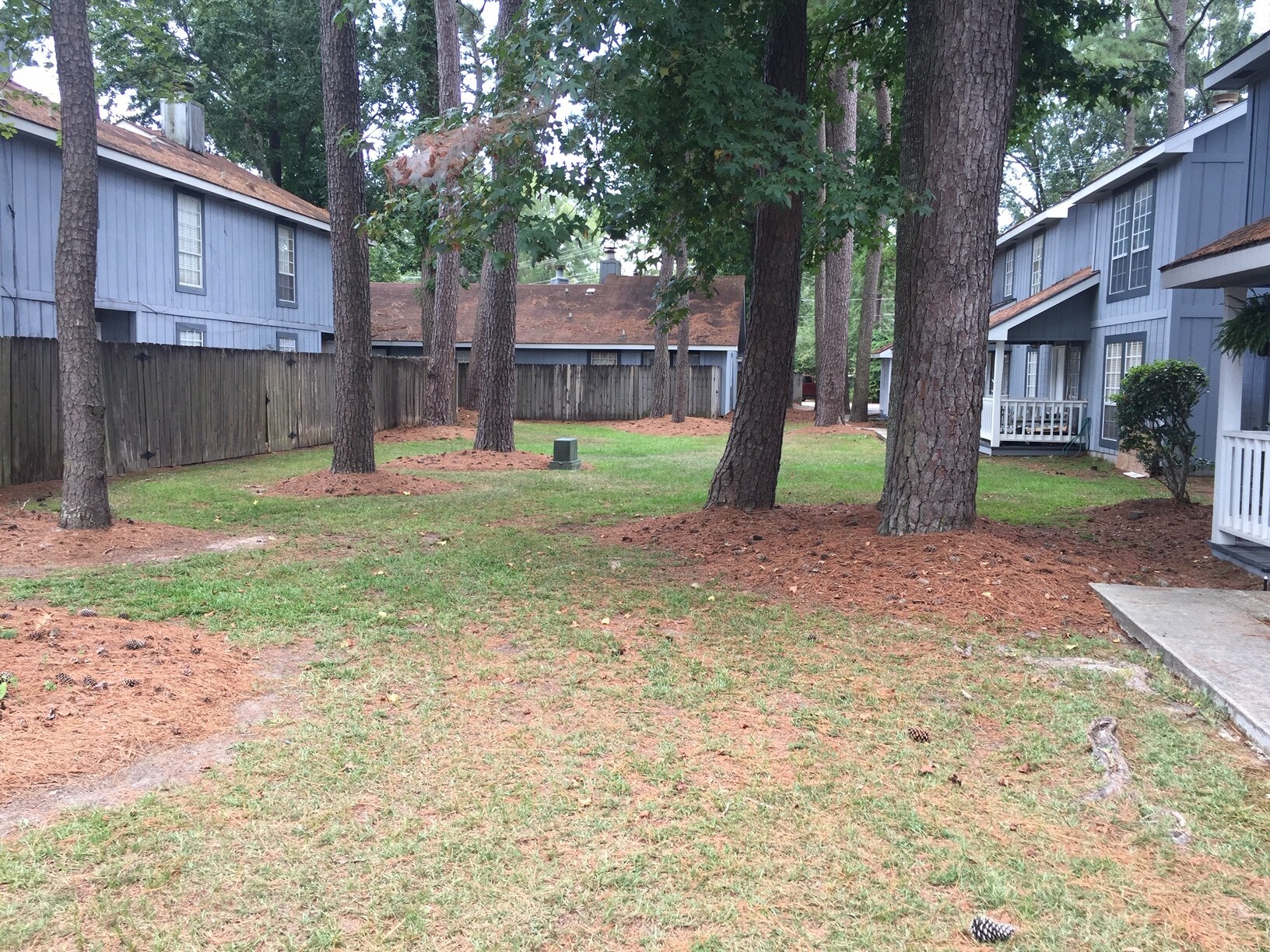 courtyard - 544 Cedarwood Dr