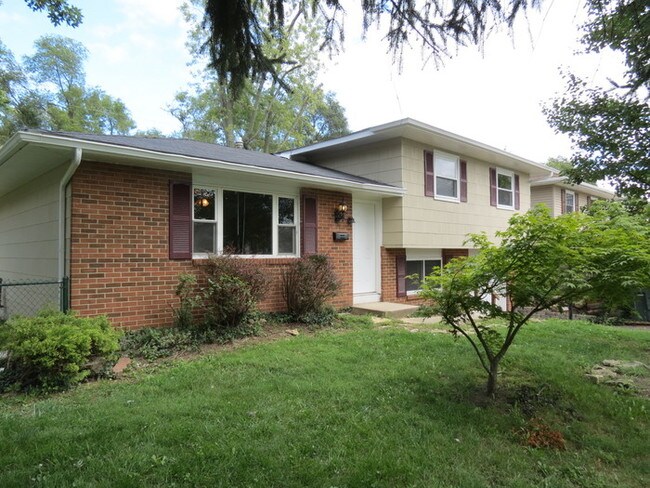 Primary Photo - new rental in southern pines