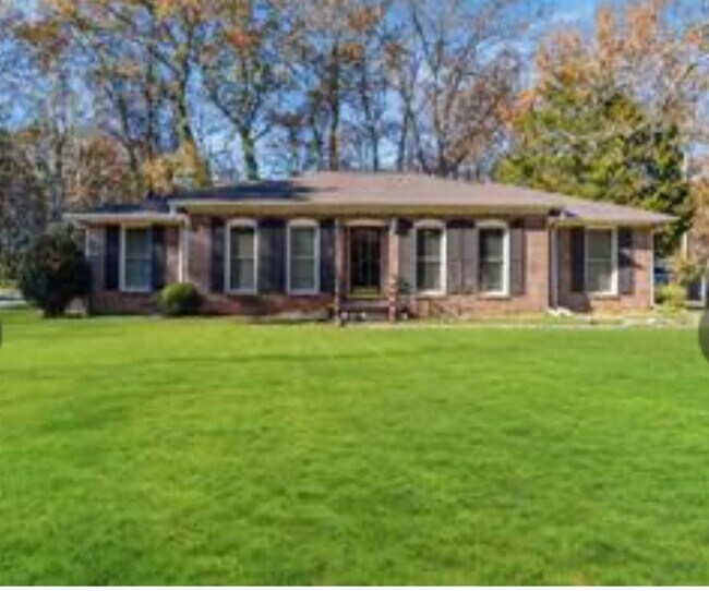Primary Photo - 348 Pine Forest Dr