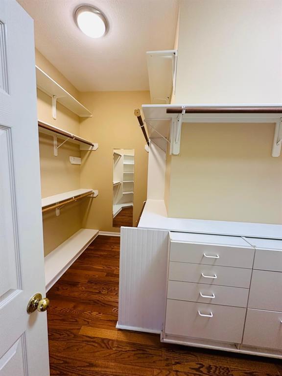 Building Photo - 17014 Sandestine Dr