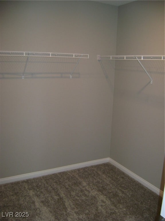 Building Photo - 3242 Trabia Ave