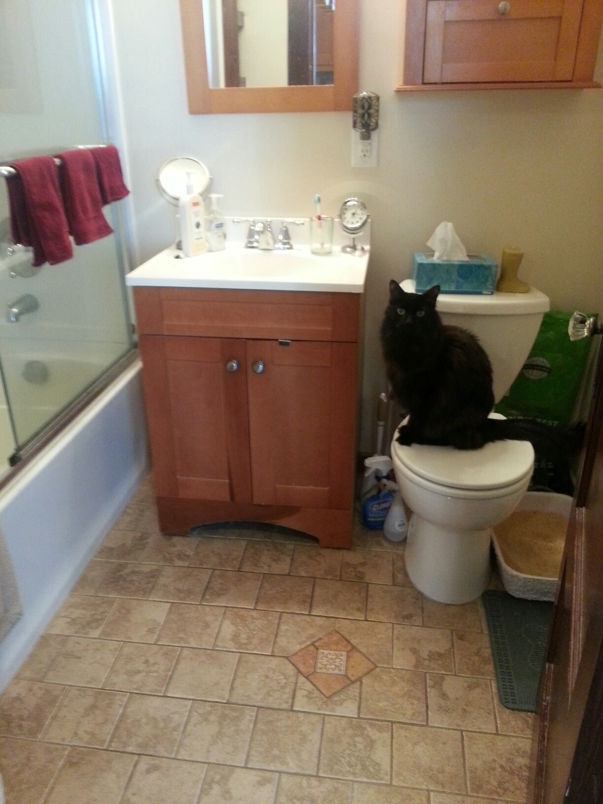 Building Photo - 78 Lawrence St