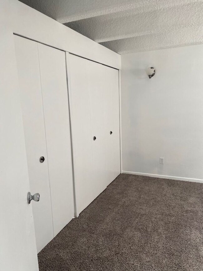Building Photo - Newly remodeled 1-bedroom apartment near DU