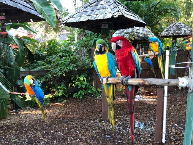 Building Photo - 3605 Iroquois Ave