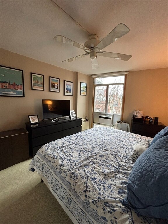 Building Photo - 19 Winchester St