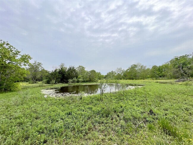 Building Photo - 10125 Needville Fairchilds Rd