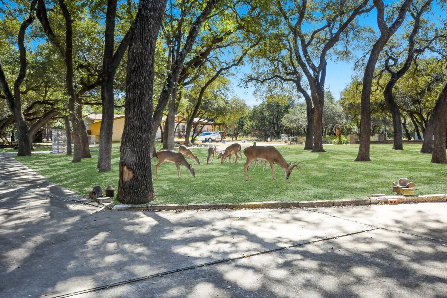 Building Photo - 21611 High Dr