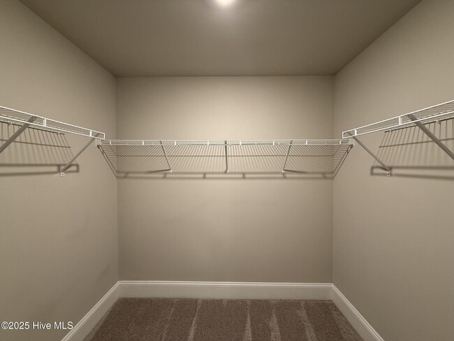 Building Photo - 204 Backspin Ln
