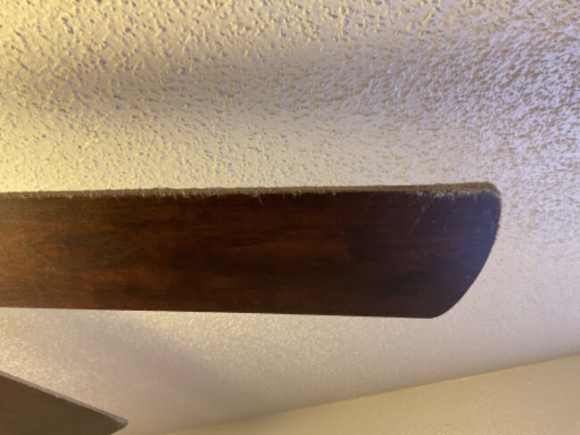 Building Photo - 5306 Langford Ln