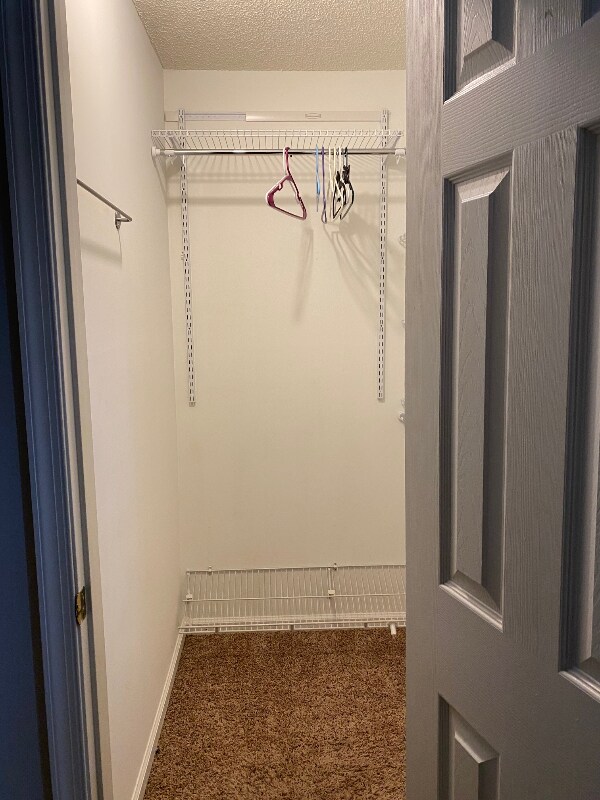Building Photo - 1511 Creekwood Ct