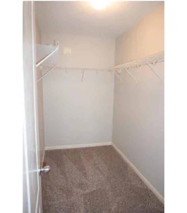 Building Photo - 16019 Summerville Lake Dr