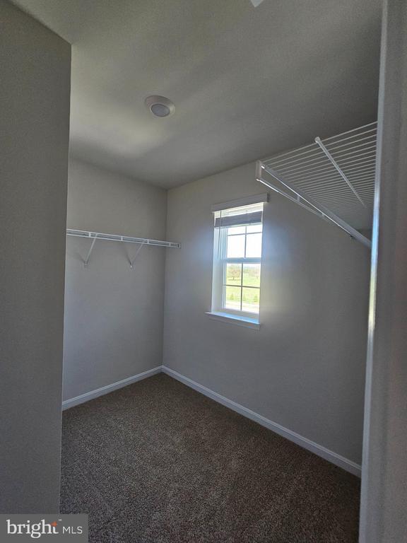 Building Photo - 178 Hamstead Dr