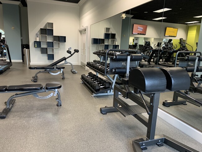 Recently renovated and updated gym in the building - 195 14th St NE