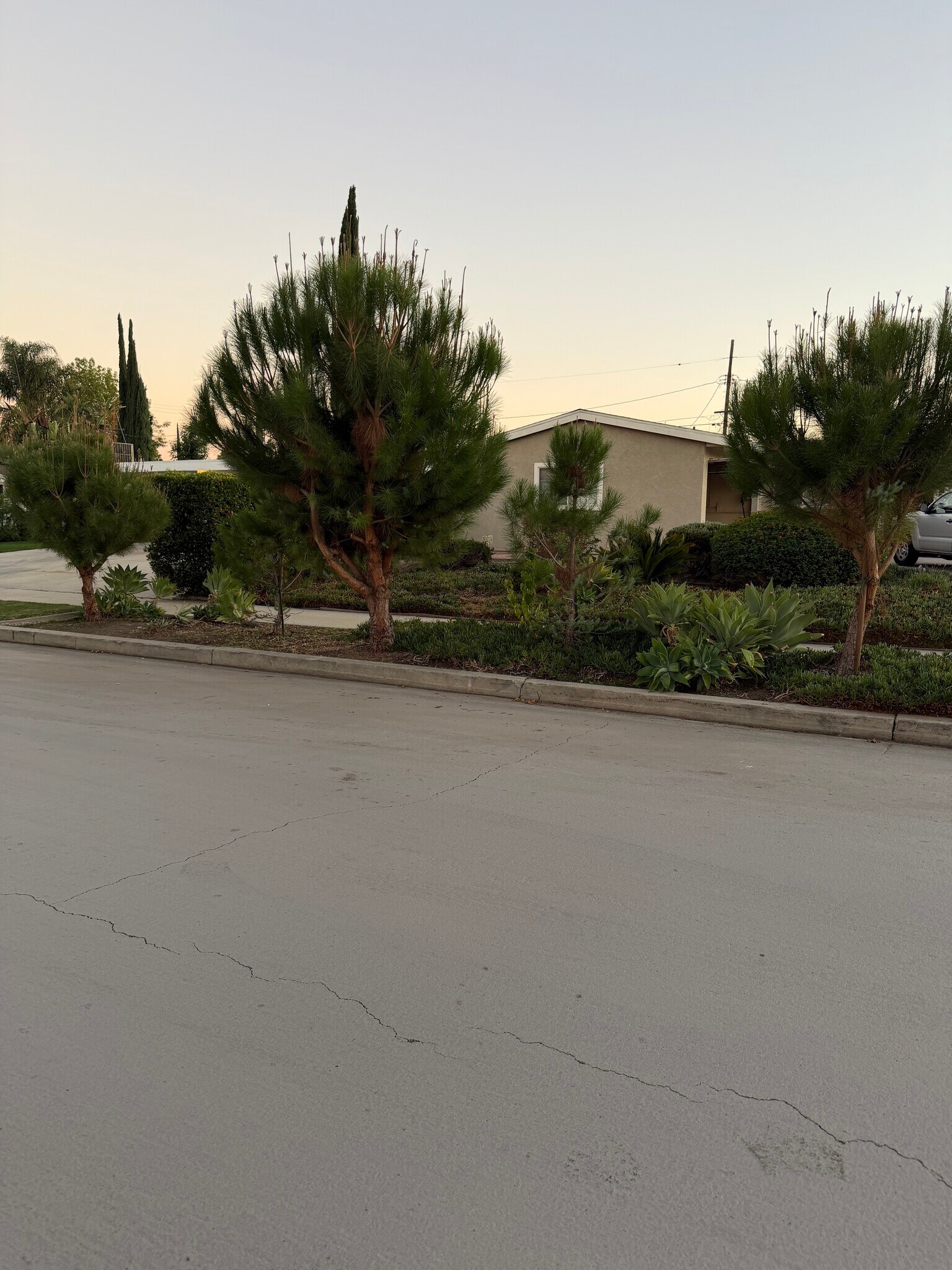 Building Photo - 20622 Archwood St