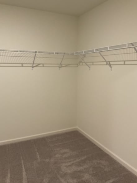 Building Photo - 305 Pond Ct