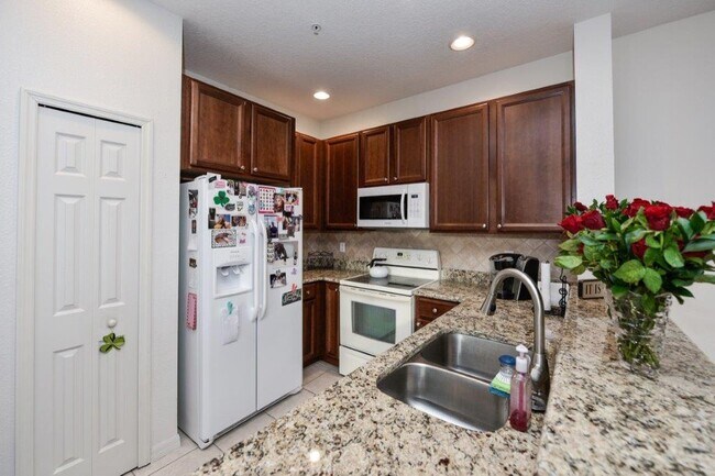 Building Photo - 4211 Via Piedra Cir