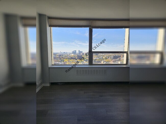 Building Photo - 1455 N Sandburg Terrace