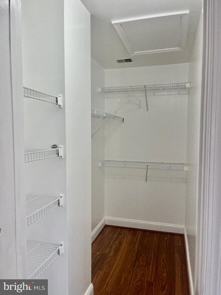 Building Photo - 5370 Blue Aster Cir