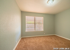 Building Photo - 243 Maplewood Ln