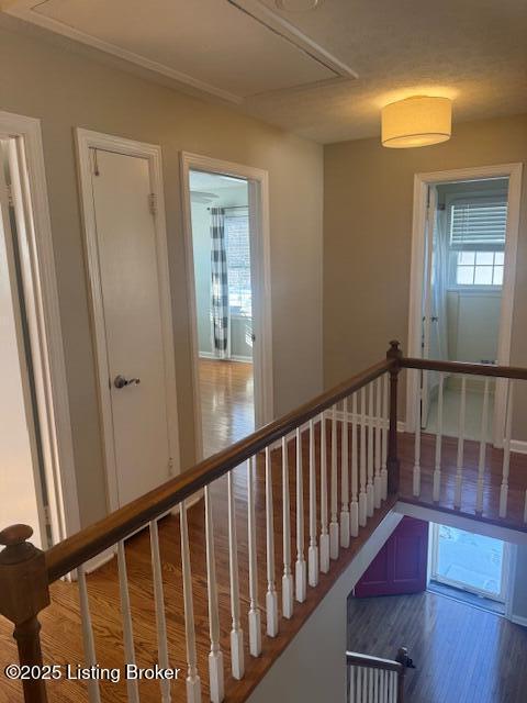 Building Photo - 9100 Trentham Ct