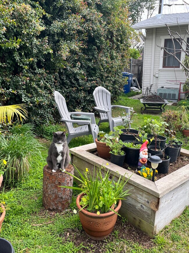 Building Photo - 318 E Colorado Blvd