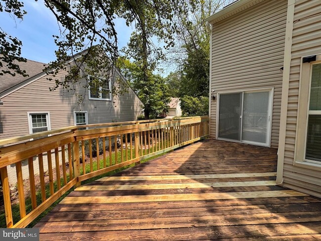 Building Photo - 12224 Dapple Gray Ct