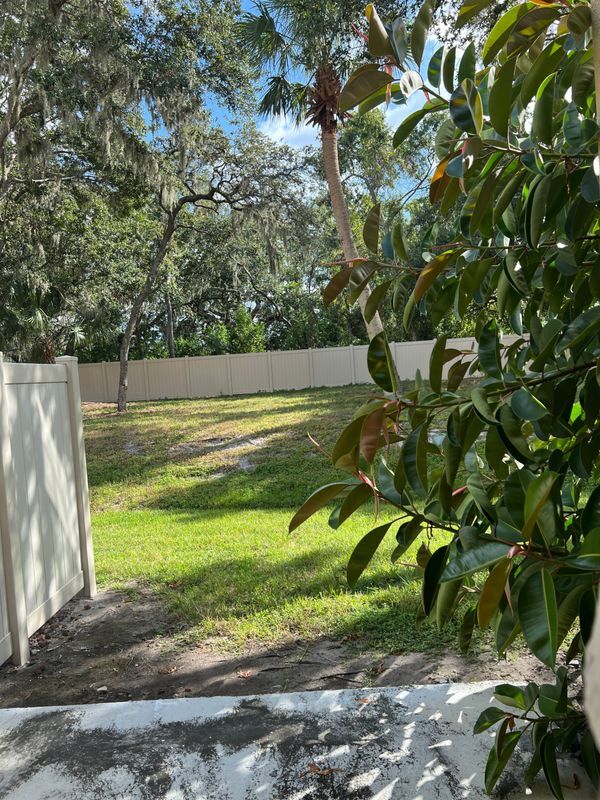 Building Photo - 10617 Shady Falls Ct