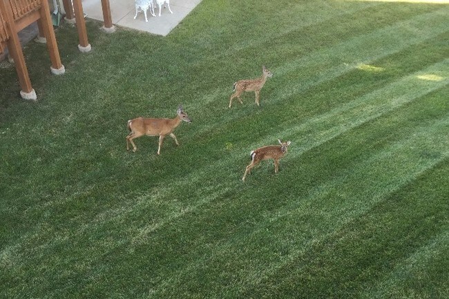 Building Photo - 1350 Parkview Estates Dr