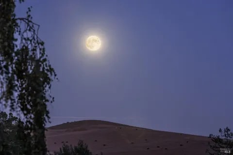 Building Photo - 11820 Mill St