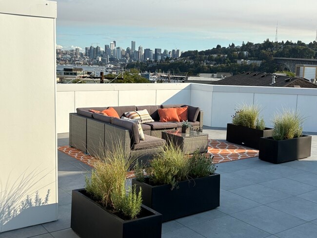 Rooftop View Lounge & Planters - The Harp