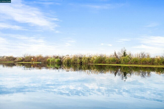 Building Photo - 500 Discovery Bay Blvd