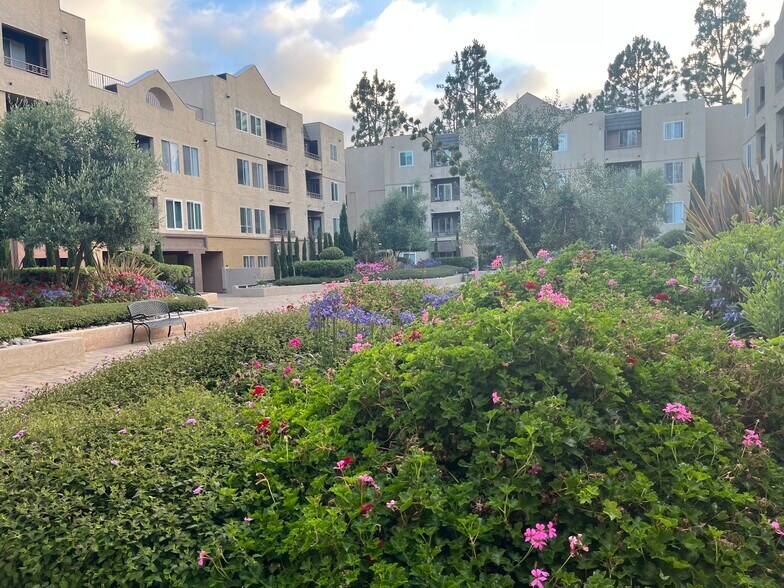 Large courtyard beyond entry gate - 8889 Caminito Plaza Centro