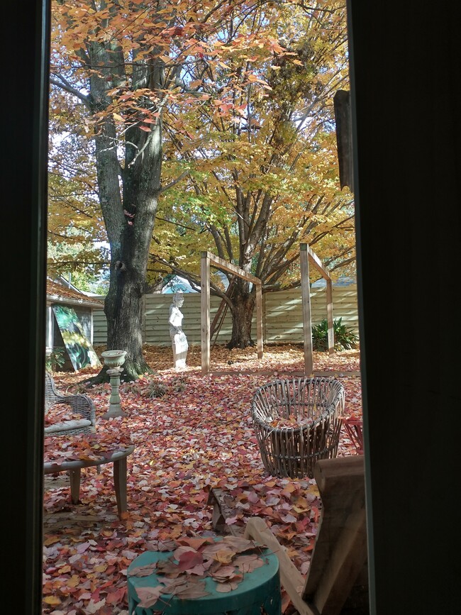 A view of the backyard with Patio and Desck - 23 Gould St SE