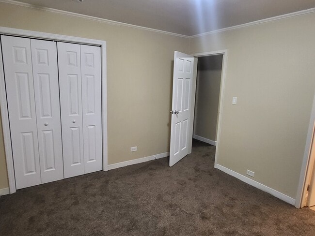 Building Photo - 517 Lakewood Blvd