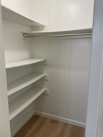 Building Photo - 713 Leading Ln