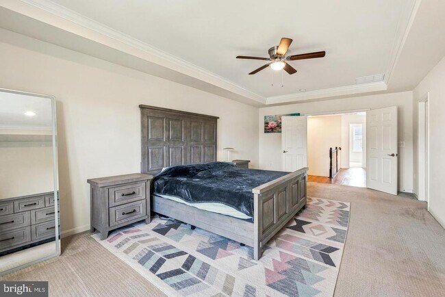 Building Photo - 21521 Willow Breeze Sq