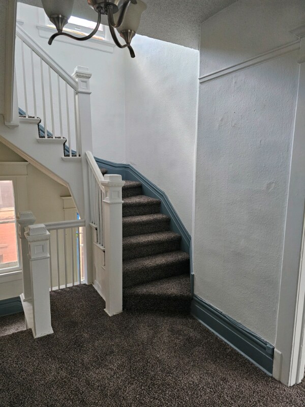 Building Photo - 1203 York St