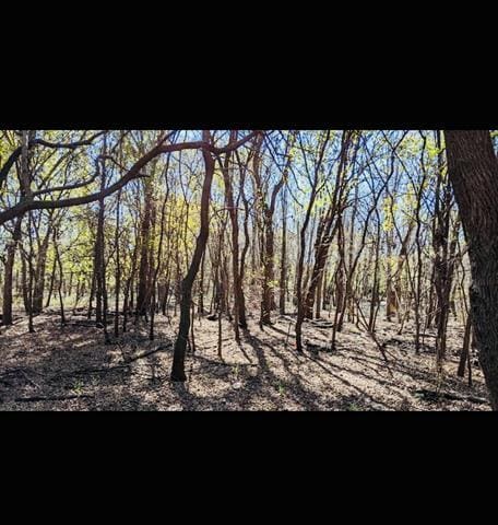 Building Photo - 1800 Preston On The Lake Blvd