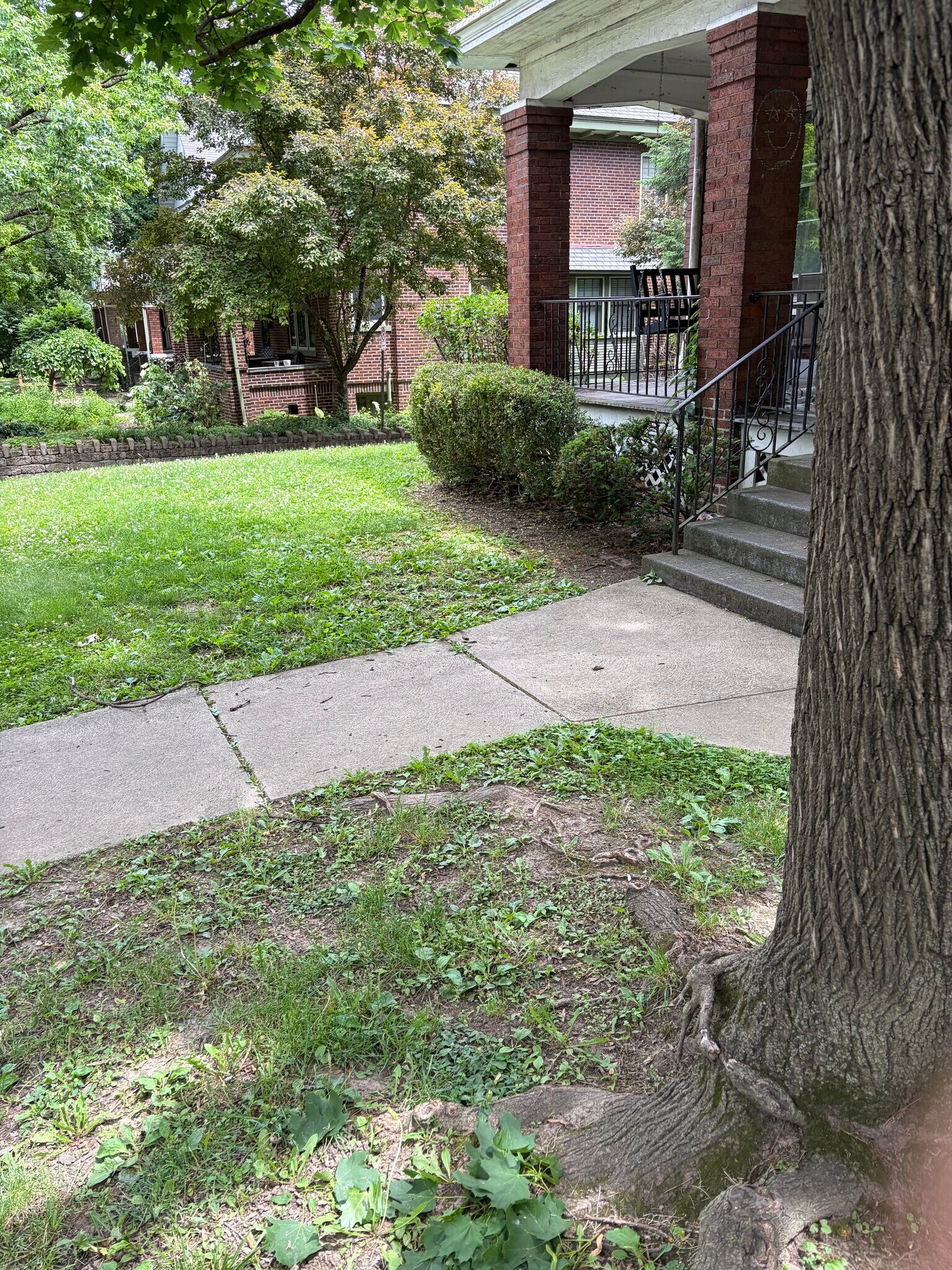 Front yard - 77 E Northwood Ave