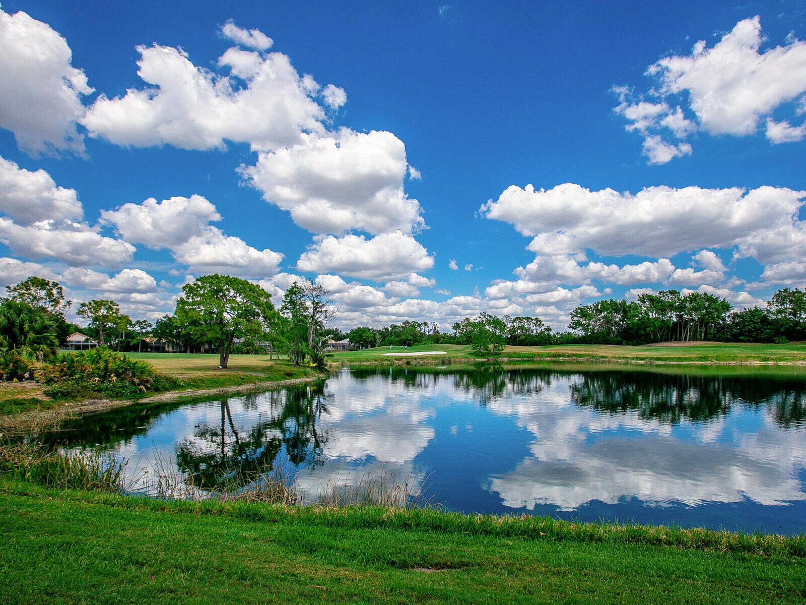 Building Photo - 7535 Ascot Ct