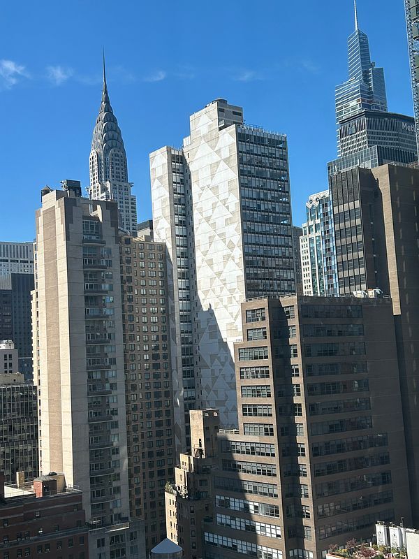 Building Photo - 250 E 49th St