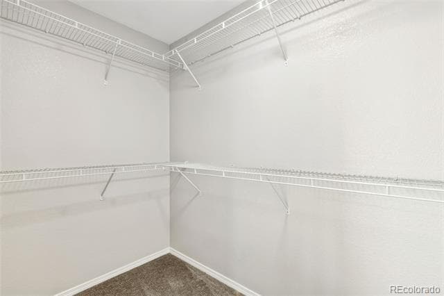 Building Photo - 7393 Little Jimmy Grove