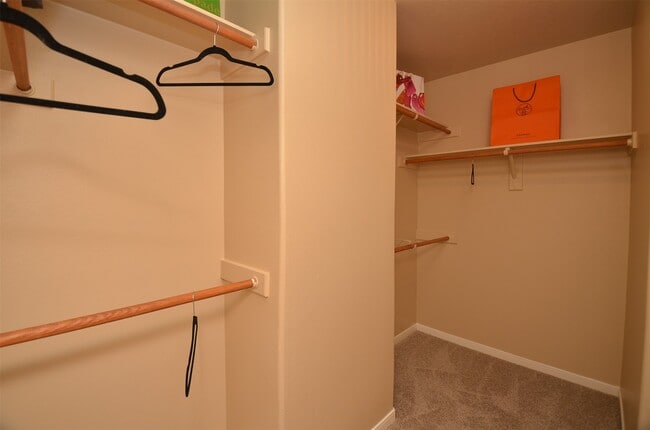 Building Photo - 2911 Meadowglen Cove