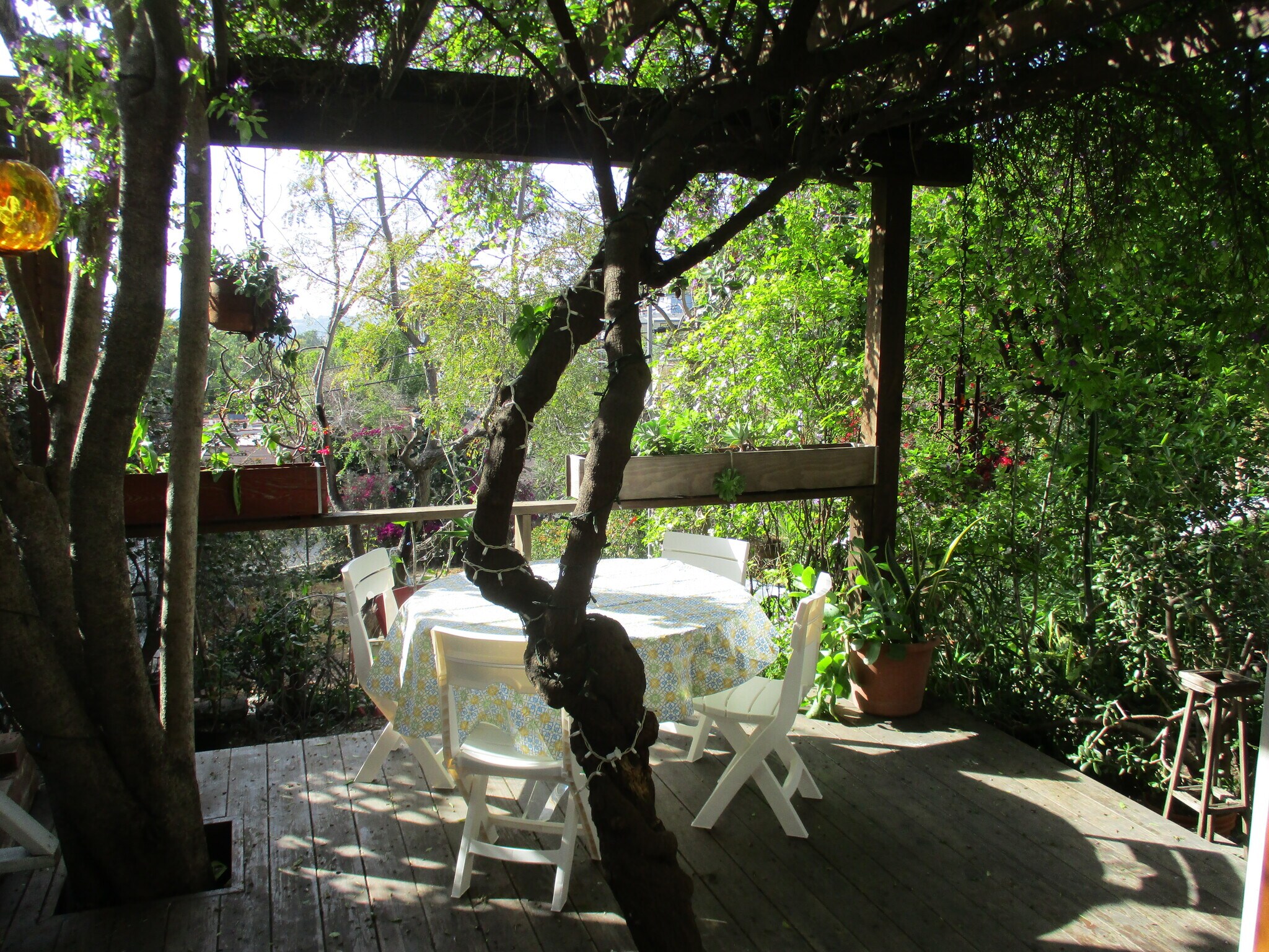 Building Photo - 3450 Effie St