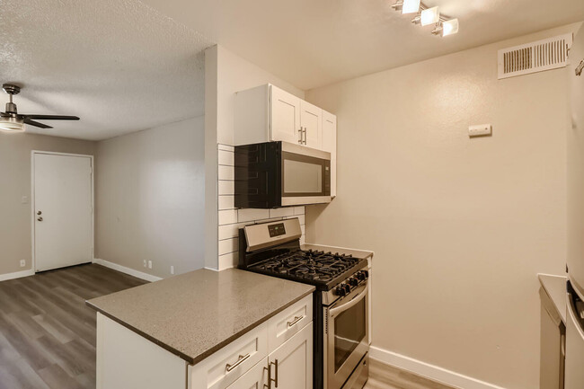 A1 Renovated - 1 Bed 1 Bath - Rise at the Preserve