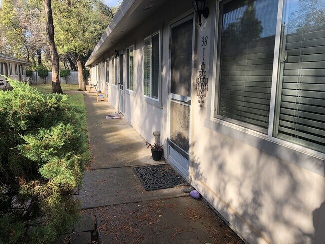 Building Photo - 3629 Bechelli Lane - 37