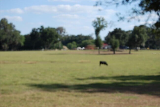 Building Photo - 4300 W Hwy 329